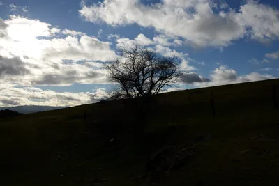 DSC_1031 (Large).JPG